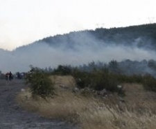 2 hektarlık çam ormanı kül oldu