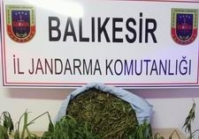 JANDARMADAN UYUŞTURUCU OPERASYONU
