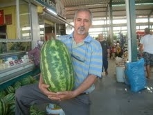 YAŞLI ADAMA ARAÇ ÇARPTI
