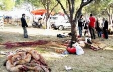 AYVALIK’TA KURBAN BAYRAMI’NDA BİLDİK GÖRÜNTÜLER