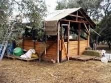 ÇALINAN KOYUNLARI JANDARMA BULDU
