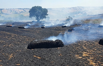 100 dönüm arazi cayır cayır yandı