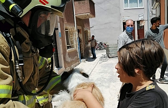 Edremit’te köpeği yanmaktan itfaiye ekipleri kurtardı  