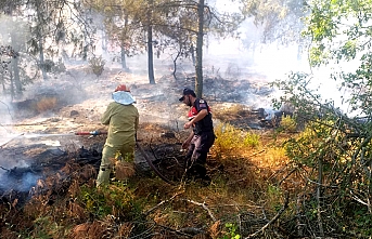 Balıkesir’in iki ilçesinde orman yangını çıktı