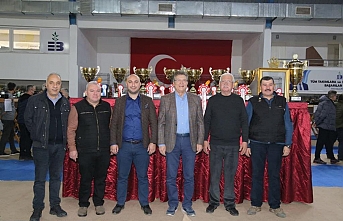 Dünyanın en güzel kanaryaları Edremit'te yarıştı