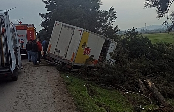 Toptancı kamyonu direksiyon hakimiyetini kaybederek kaza yaptı