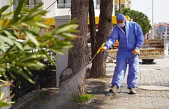 Altıeylül Belediyesi Park ve Bahçeler Müdürlüğü’ne bağlı ekipler Altıeylül genelinde bahar temizliğine başladı.
