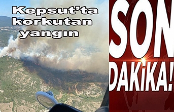 Kepsut'ta orman yangını çıktı. Söndürme çalışmaları karadan ve havadan devam ediyor