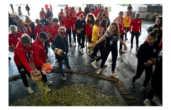 Ayvalıkgücü Belediyesporlu sporculardan zeytin hasatı