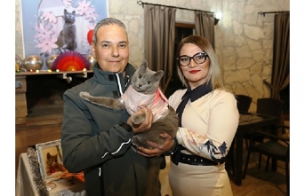 Ayvalık’ta şanslı kedinin Gümüş’e 5. doğum günü partisi