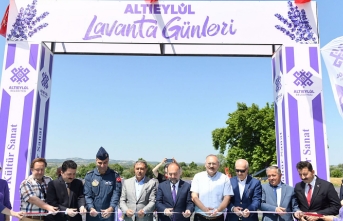 Altıeylül Lavanta Günleri Başladı