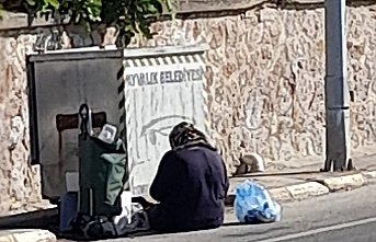 Minibüslü dilenci Ayvalık zabıtasına yakalandı