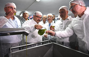 Ayvalık’ta Yılın İlk Zeytin İlk Hasadı Heyecanı: İlk hasat zeytinyağını Vali Ustaoğlu, ikram etti vekiller içti