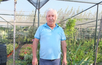Burhaniye'de emekli bankacı 500 çeşit bitki yetiştirdi