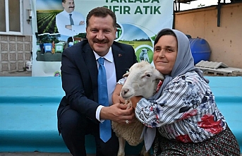 Tarladaki atıklar kuzuya dönüşüyor