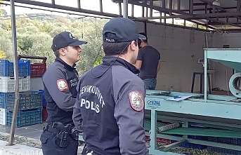 Zeytin bahçelerinde polis göz açtırmıyor  