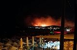 Ayvalık'ta orman yangını
