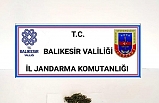 Ayvalık'ta esrar operasyonu