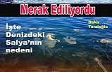 Müsilaj