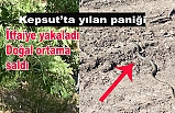 Kepsut’ta aracın içinden çıkan yılanı itfaiye ekipleri yakaladı