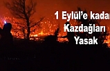 Son Dakika: Balıkesir'de ormanlık alana giriş 1 Eylül'e kadar yasaklandı