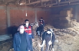 Balıkesir Polis&Jandarma 24 Saat 14.10.2021 Jandarma dedektifleri altın hırsızlarını yakaladı