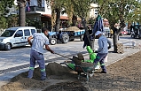 Duyarlı belediye. Yaz sezonunda kısa süreli ara verilen çalışmalar tekrar başladı