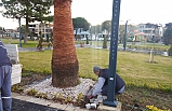 Burhaniye Belediyesi Park ve Bahçeleri Yeniliyor