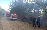 Son Dakika: Balya'da Ormanlık alanda yangın çıktı