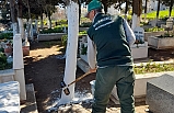 Ayvalık'ta mezarlıklar çiçek açıyor