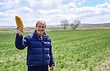 Memleket Partisi Genel Başkanı Muharrem İnce, buğday tarlasında basın toplantısı düzenledi. 