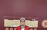 Belgin Uygur, Mecliste Komisyonun Balıkesir ziyaretini anlattı