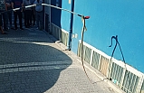 Balıkesir'de yılan operasyonu. 2 metrelik yılandan korkan kaçtı, itfaiye yakaladı