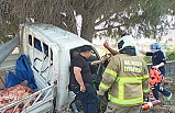Bandırma'da sıkışan sürünün feryadına itfaiye ekipleri koştu.