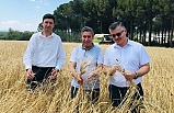 Savaştepe Mesleki ve Teknik Anadolu Lisesinde ilk hasat heyecanı yaşandı