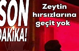 Vali Hasan Şıldak:  "Zeytin hırsızlığın önlemesinde kararlıyız"