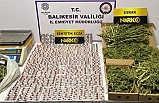 Ayvalık'ta yumurtalar arasından bakın ne çıktı!