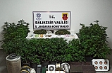 Balıkesir'de lüks evi uyuşturucu tarlasına çevirenler jandarmaya yakalandılar