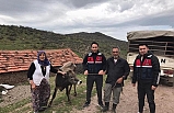 Kurbanlığı çalınan kişi için jasat özel ekip kurdu