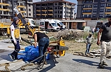 Burhaniye'de vincin kolu kırıldı: 1 kişi öldü, 1 kişi yaralandı