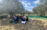 Jandarma Devriyeleri Zeytin Hırsızlarına Göz Açtırmıyor