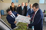 Balıkesir Üniversitesi ve Edremit Belediyesi Zeytincilik Alanında Güçlerini Birleştiriyor