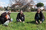 Burhaniye’de ot festivali düzenlenmesi istediler
