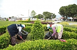Burhaniye Belediyesi Ekipleri Tertemiz Burhaniye İçin 7/24 Sahada