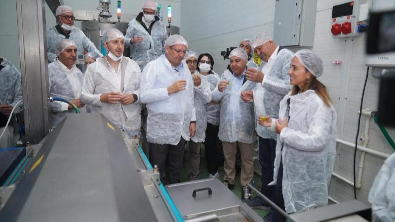 Ayvalık’tan Dopdolu Programıyla Bir Festival Daha Geçti