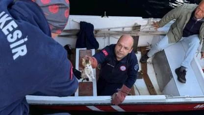 Balıkesir'de denizde kedi kurtarma operasyonu