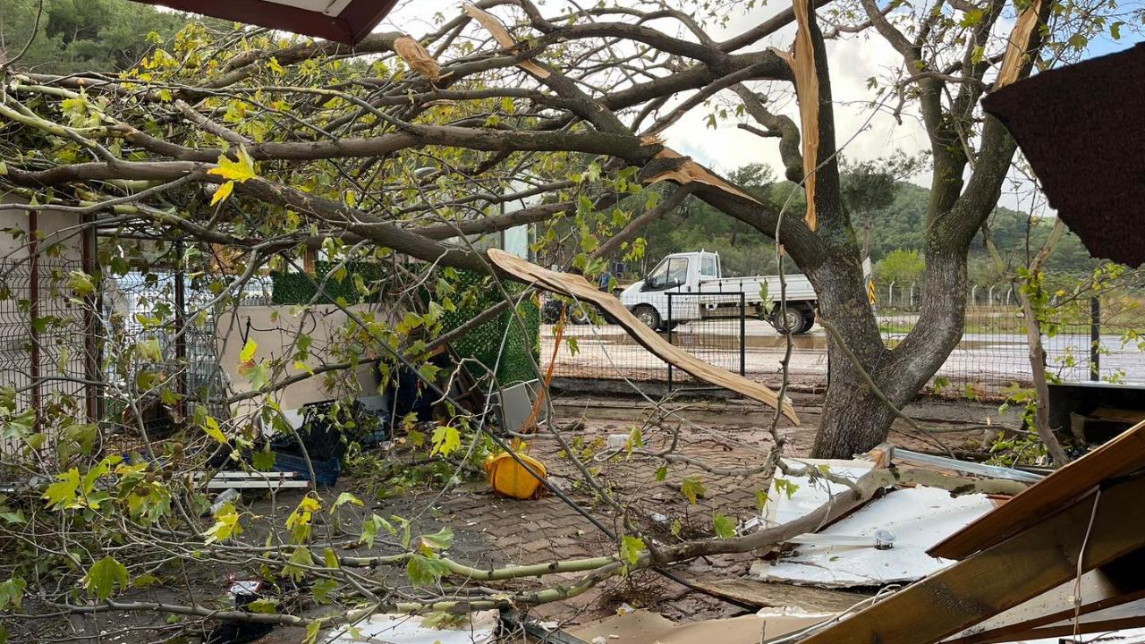 Balıkesir'de hortum ağaçları kökünden söktü, bir işletmeyi yerle bir etti