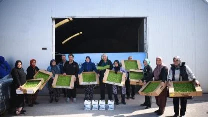 Başkan Akın destekliyor, kadın çiftçiler toprağın bereketini artırıyor