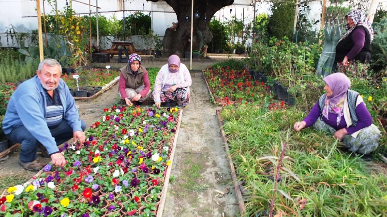 Burhaniye de makine mühendisi örnek çiçekçi oldu