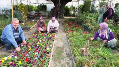 Burhaniye de makine mühendisi örnek çiçekçi oldu